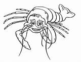 Homard Coloriages sketch template