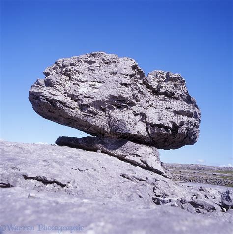 limestone erratic boulder photo wp
