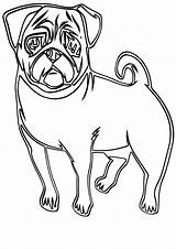 Coloring Pages Pug Sheet Print sketch template