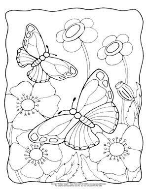 flower  butterfly coloring pages