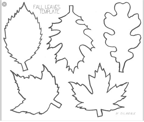 leaves template  printable maple leaf template leaf printables