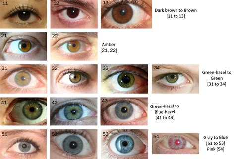 shades  green eye color chart