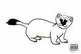 Stoat Arctic Aloud Busy sketch template