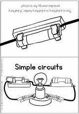 Circuits Electricity Teacherspayteachers sketch template