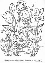 Flori Colorat Desene Colorir Planse Desenhos Kolorowanki Kwiaty Wiosenne Plante Elf Relier Coloriages Visitar Ausmalbilder Infantis sketch template