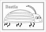 Colouring Minibeasts sketch template