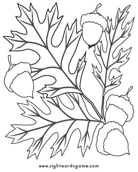 fall coloring pages  activities sight words reading writing