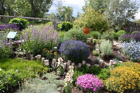 xeriscaping    xeriscape landscape solutions hardy plants