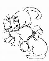 Gatti Gattini Kittens Coloring sketch template