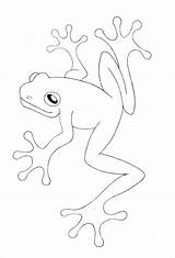 Toad Cane Toads Coloringbay sketch template
