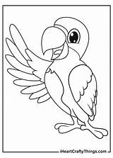 Parrots Iheartcraftythings sketch template