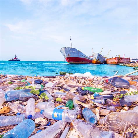 consequences  ocean plastic pollution vita world