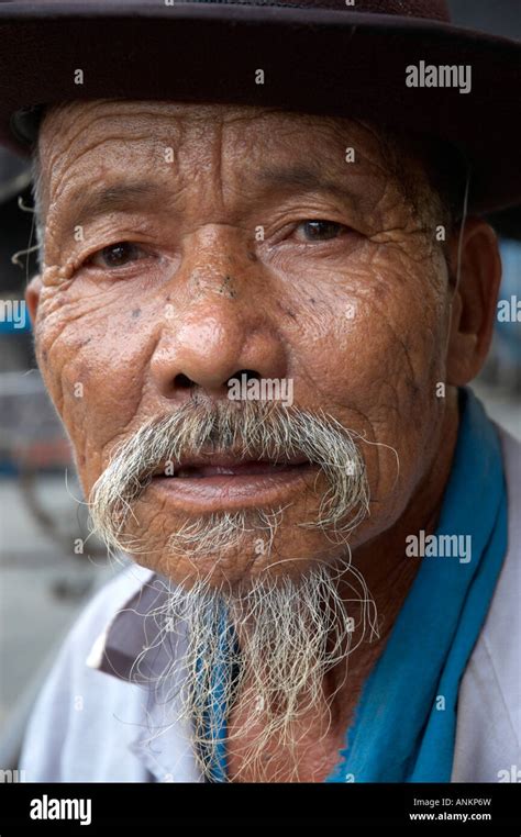 portrait   vietnamese man hoi  vietnam stock photo  alamy