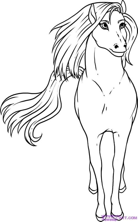 images  draw horses  pinterest cartoon   draw