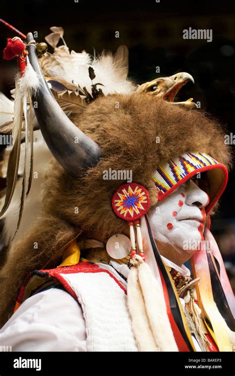 lakota sioux male dancer   gathering  nations powwow  albuquerque  mexico stock