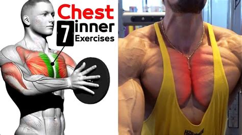 best 7 exercises inner chest 🔥 youtube