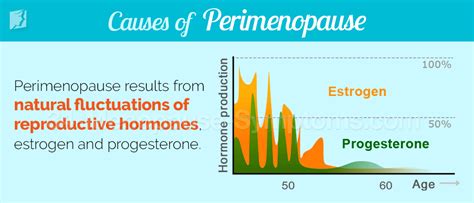 perimenopause causes menopause stages menopause now