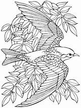 Coloring Bird Pages Printable Adults Mandala Advanced Birds Sheets Book Print Animal sketch template