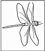 Dragonfly 2780 2493 sketch template