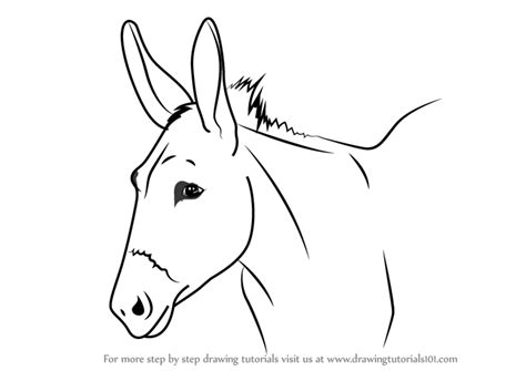 learn   draw  donkey face animal faces step  step drawing