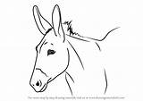 Donkey Drawingtutorials101 Burritos Donkeys Mules Sido sketch template