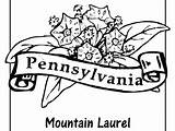 Pennsylvania Coloring Pages Getdrawings sketch template