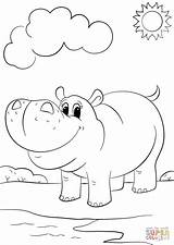 Hippo Coloring Pages Cartoon Cute Kids Drawing Hippopotamus Step Colouring Baby Printable Mammals Draw sketch template