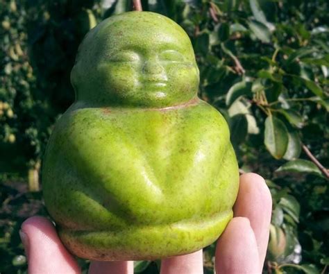 how to make buddha shape pears 3 steps instructables