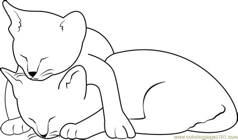 two cats sleeping coloring page free cat coloring pages