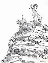 Mountain Goat Drawing Ink Rocky Drawings Mountains Sheep Bighorn Coloring Grass Pencil Pages Without Sketches Colorado Sketch Goats Animal Top sketch template