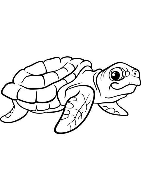 print  turtle coloring pages   coloring pages turtles