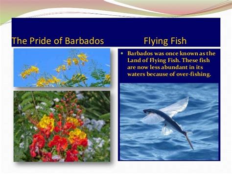 Barbados Essential Facts