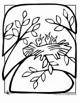 Coloring Nest Crafts sketch template