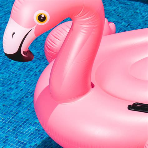 fun pool floats   perfect summer journo travel journal