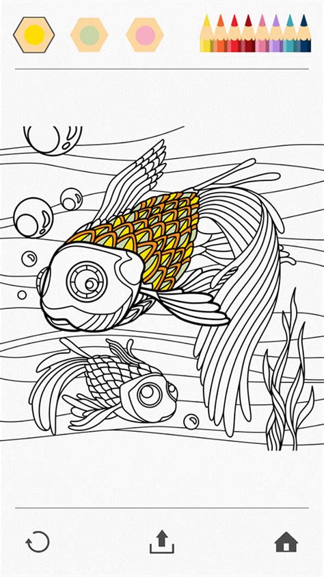 colouring books  grown ups  coloring books pages
