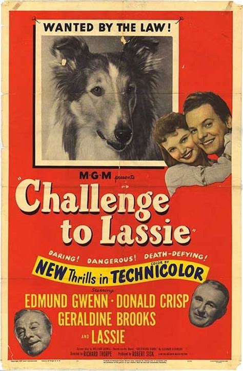 Challenge To Lassie Alchetron The Free Social Encyclopedia