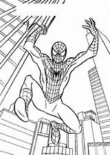 Spiderman Imprimir Dibujosparacolorear Araña Telaraña Superhero Páginas sketch template