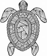 Turtle Coloring Pages Adults Kids sketch template