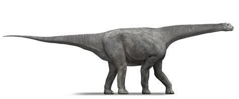 25 Most Popular Types Of Dinosaurs That Roamed The Earth