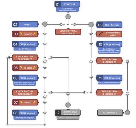 Promedcert Algorithms Tachycardia With A Pulse Acls Algorithm