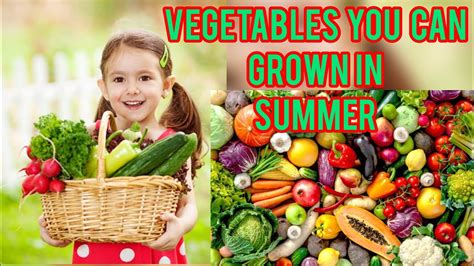 vegetables   grow  summer youtube
