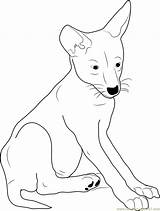 Coyote Pup Coloring Pages Color Coloringpages101 Kids Online Coyotes Getcolorings Printable sketch template