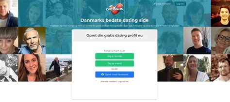 the 5 best dating sites in denmark what i learned visa hunter