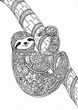 Animal Sloth Mandalas sketch template