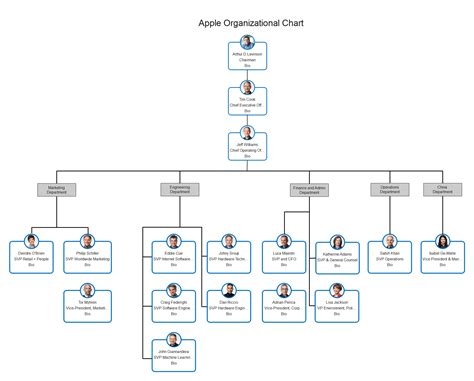 company organizational chart explained  examples edrawmax
