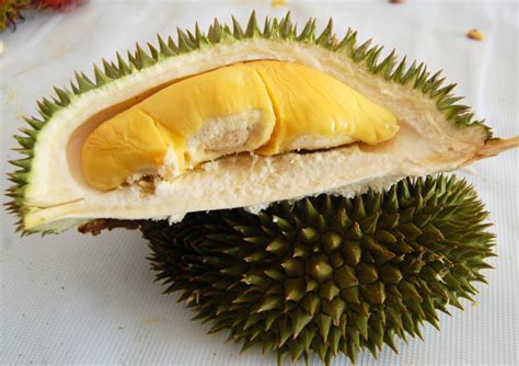 fun  fascinating facts  durian tons  facts