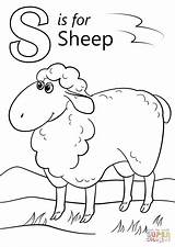 Coloring Letter Pages Sheep Preschool Printable Outline Drawing Lamb Color Template Russell Print Alphabet Words Getcolorings Getdrawings sketch template