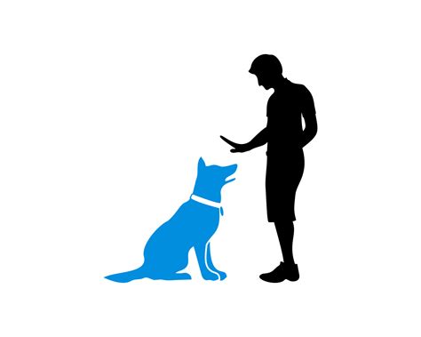 pet dog  care trainer  vector art  vecteezy