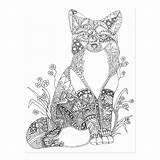 Coloring Adult Postcard Fox Animal sketch template