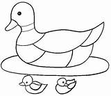 Duck Coloring Pages Coloringpages1001 sketch template